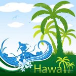 Minimalist Hawaii Surf Scene